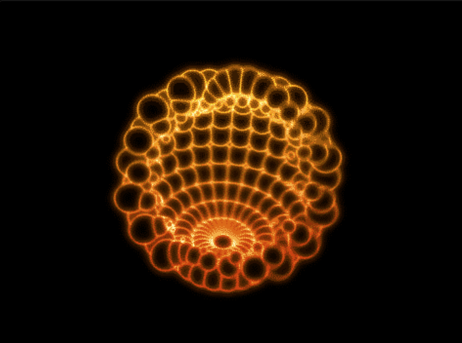 Nefron-web assistant